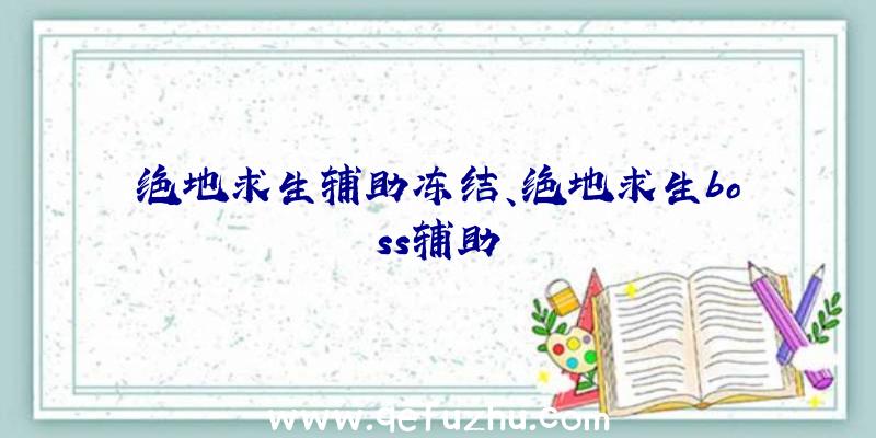 绝地求生辅助冻结、绝地求生boss辅助