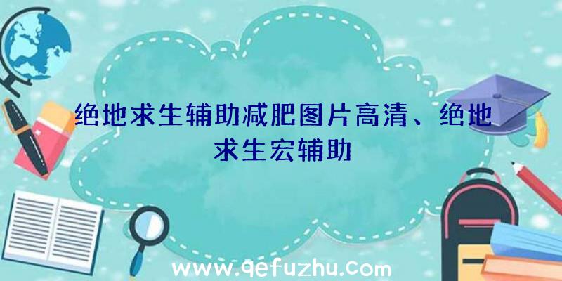 绝地求生辅助减肥图片高清、绝地求生宏辅助