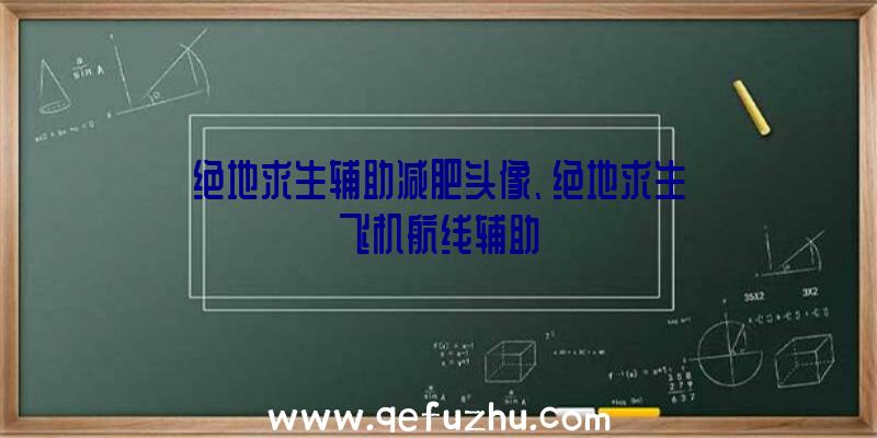 绝地求生辅助减肥头像、绝地求生飞机航线辅助