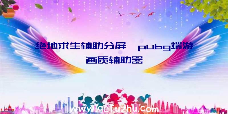 绝地求生辅助分屏、pubg端游画质辅助器