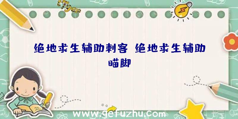 绝地求生辅助刺客、绝地求生辅助瞄脚