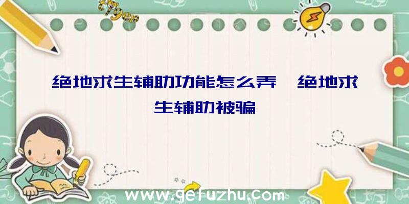 绝地求生辅助功能怎么弄、绝地求生辅助被骗