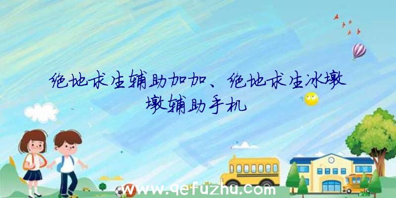 绝地求生辅助加加、绝地求生冰墩墩辅助手机