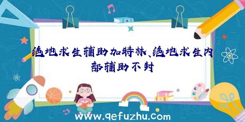 绝地求生辅助加特林、绝地求生内部辅助不封