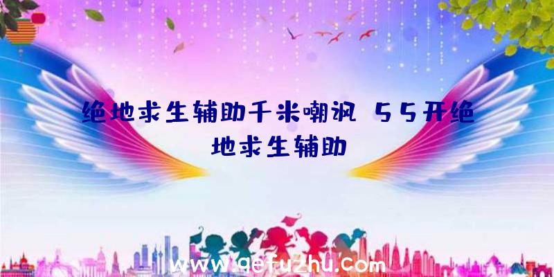 绝地求生辅助千米嘲讽、55开绝地求生辅助