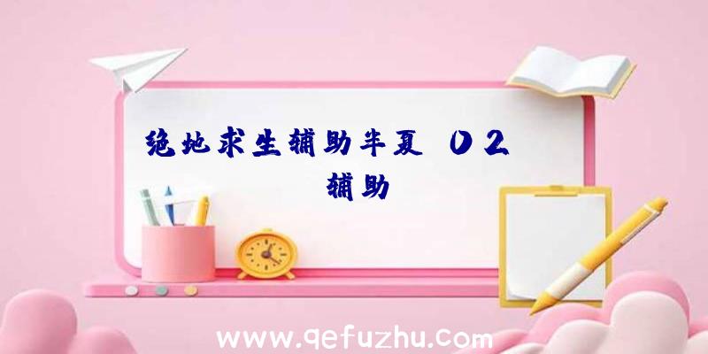 绝地求生辅助半夏、02PUBG辅助