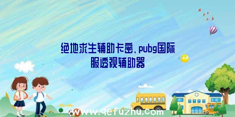 绝地求生辅助卡密、pubg国际服透视辅助器