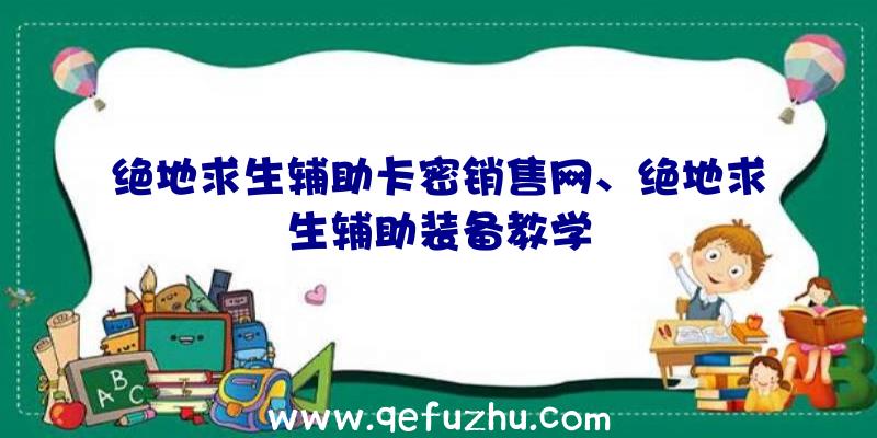 绝地求生辅助卡密销售网、绝地求生辅助装备教学