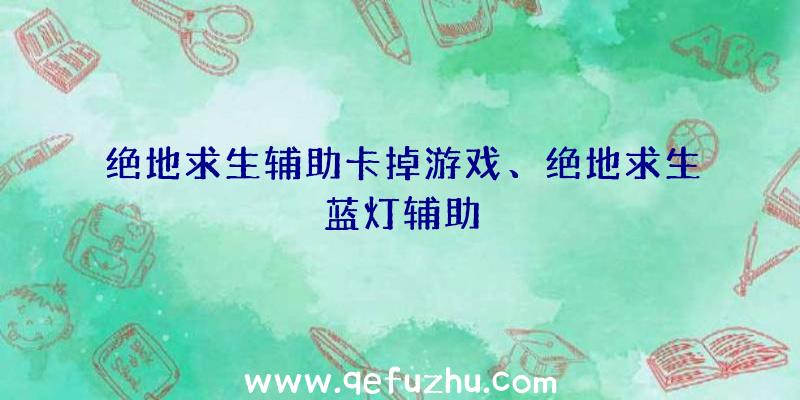 绝地求生辅助卡掉游戏、绝地求生蓝灯辅助