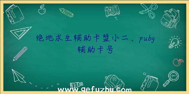 绝地求生辅助卡盟小二、pubg辅助卡号