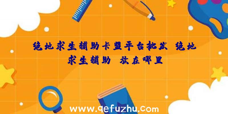 绝地求生辅助卡盟平台批发、绝地求生辅助