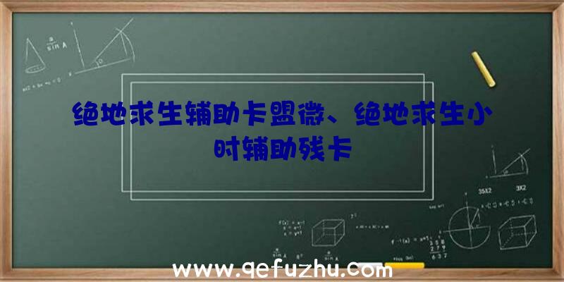 绝地求生辅助卡盟微、绝地求生小时辅助残卡