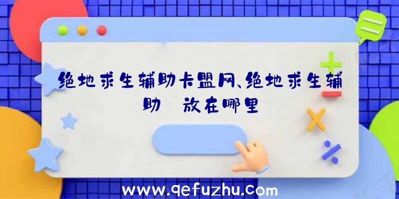 绝地求生辅助卡盟网、绝地求生辅助