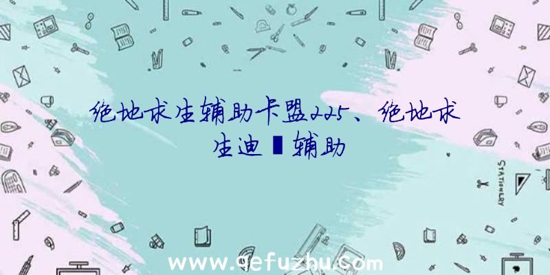 绝地求生辅助卡盟225、绝地求生迪迦辅助