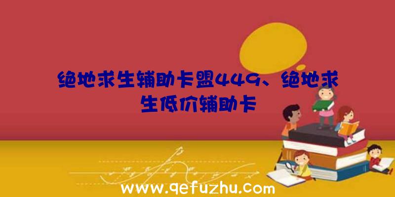 绝地求生辅助卡盟449、绝地求生低价辅助卡