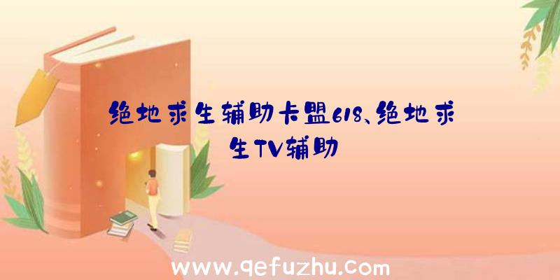 绝地求生辅助卡盟618、绝地求生TV辅助