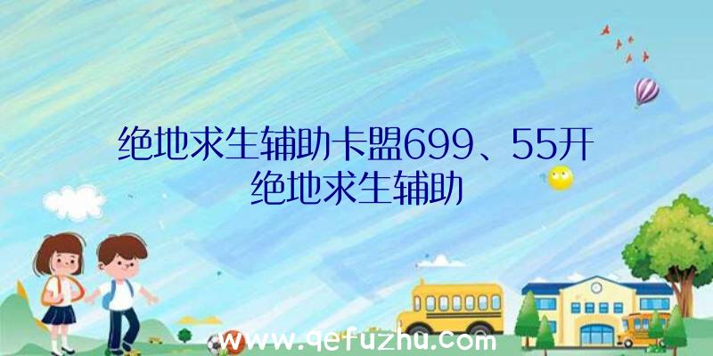 绝地求生辅助卡盟699、55开绝地求生辅助