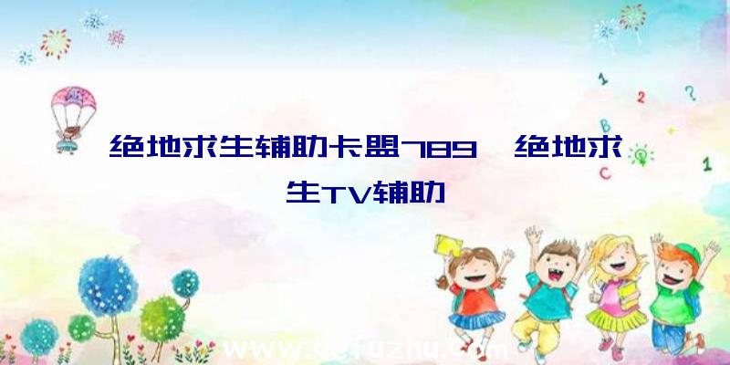 绝地求生辅助卡盟789、绝地求生TV辅助