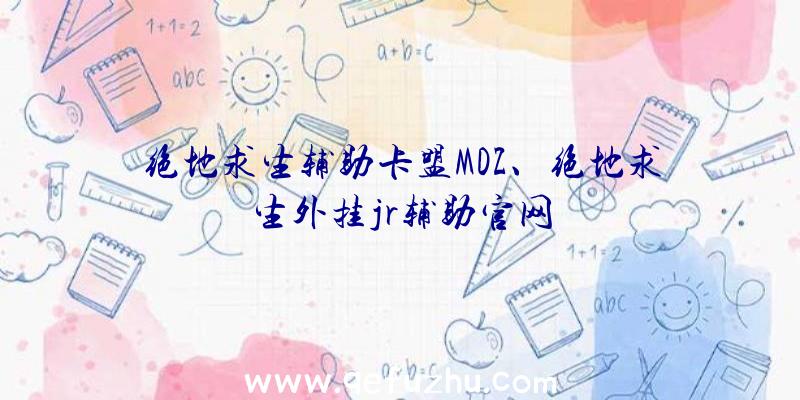 绝地求生辅助卡盟MDZ、绝地求生外挂jr辅助官网