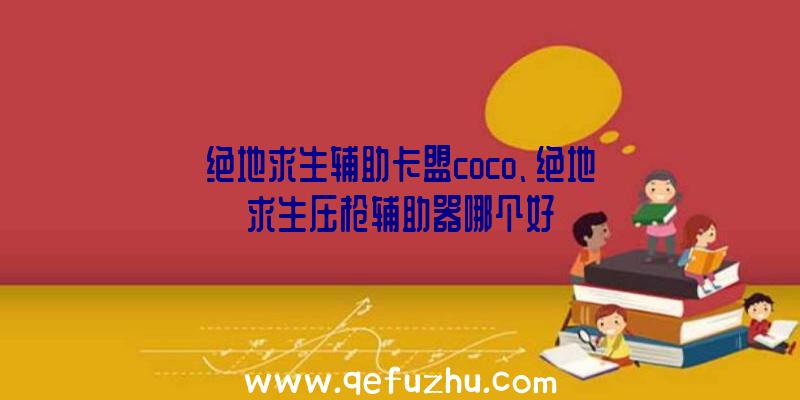 绝地求生辅助卡盟coco、绝地求生压枪辅助器哪个好