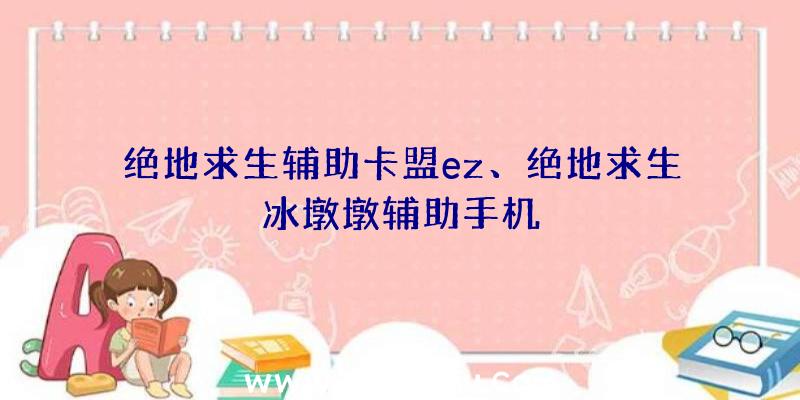 绝地求生辅助卡盟ez、绝地求生冰墩墩辅助手机