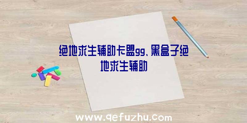 绝地求生辅助卡盟gg、黑盒子绝地求生辅助