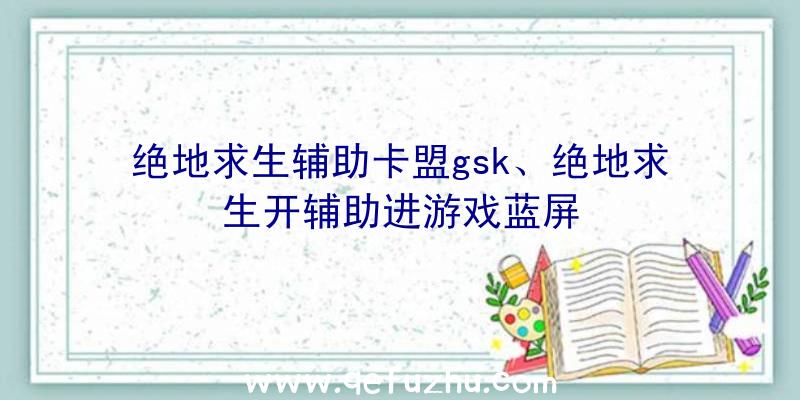 绝地求生辅助卡盟gsk、绝地求生开辅助进游戏蓝屏