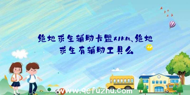 绝地求生辅助卡盟x1km、绝地求生有辅助工具么