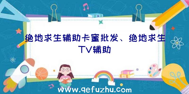 绝地求生辅助卡蜜批发、绝地求生TV辅助