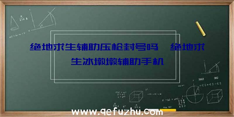 绝地求生辅助压枪封号吗、绝地求生冰墩墩辅助手机