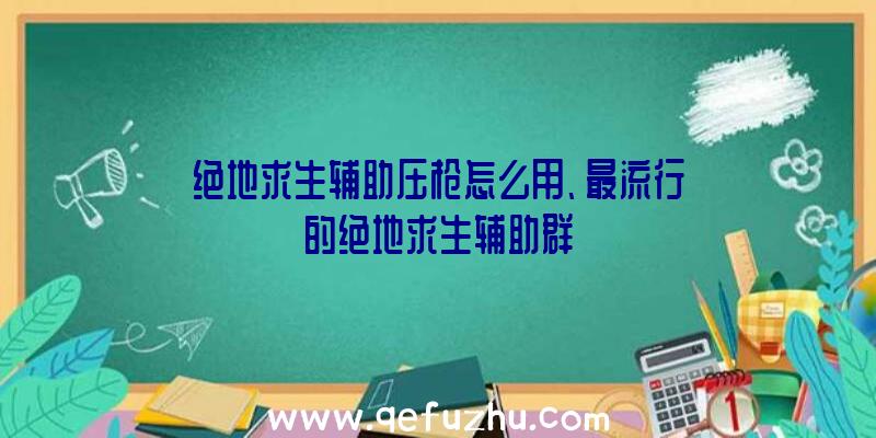 绝地求生辅助压枪怎么用、最流行的绝地求生辅助群