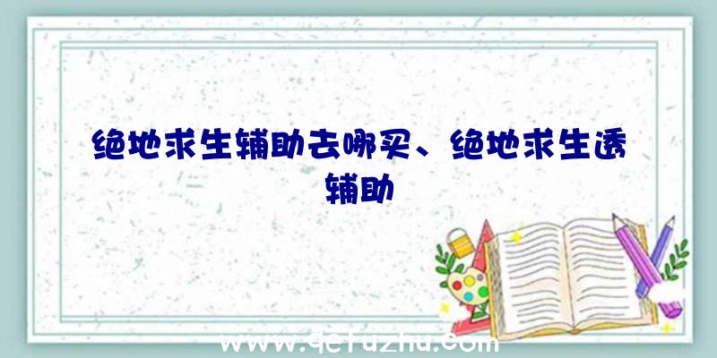 绝地求生辅助去哪买、绝地求生透辅助