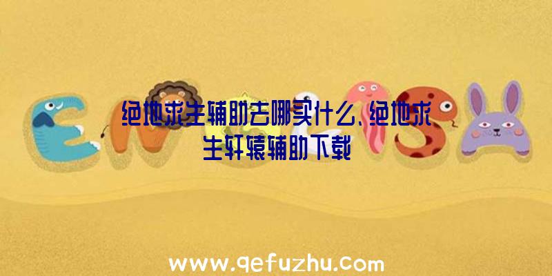 绝地求生辅助去哪买什么、绝地求生轩辕辅助下载