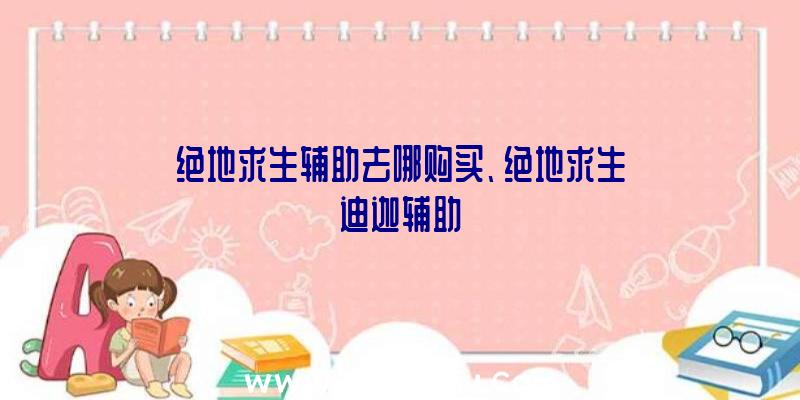 绝地求生辅助去哪购买、绝地求生迪迦辅助