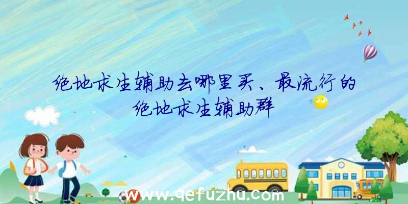 绝地求生辅助去哪里买、最流行的绝地求生辅助群