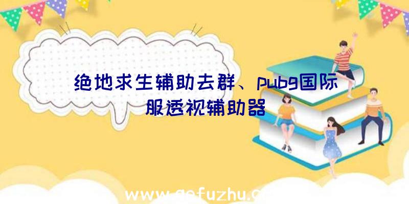 绝地求生辅助去群、pubg国际服透视辅助器