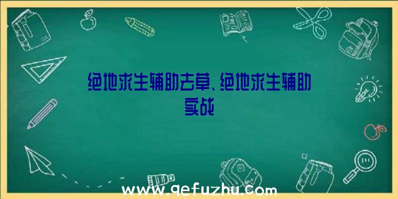 绝地求生辅助去草、绝地求生辅助实战