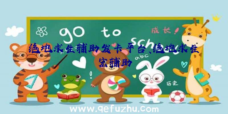 绝地求生辅助发卡平台、绝地求生宏辅助