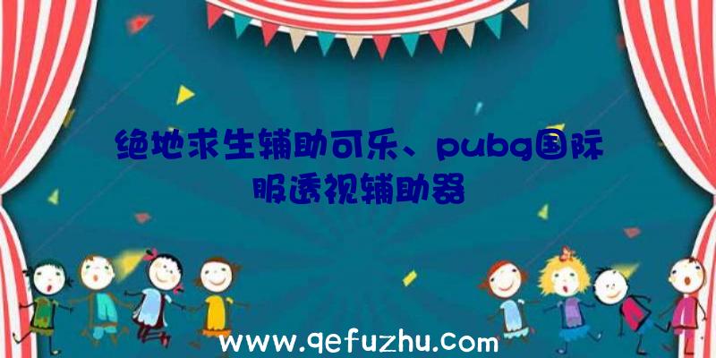 绝地求生辅助可乐、pubg国际服透视辅助器