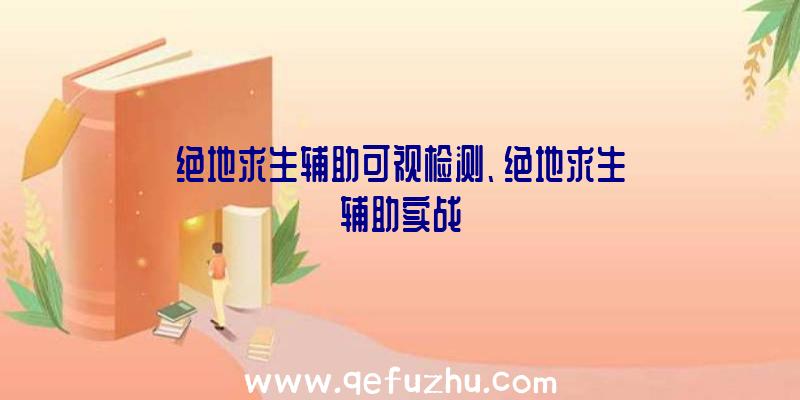 绝地求生辅助可视检测、绝地求生辅助实战