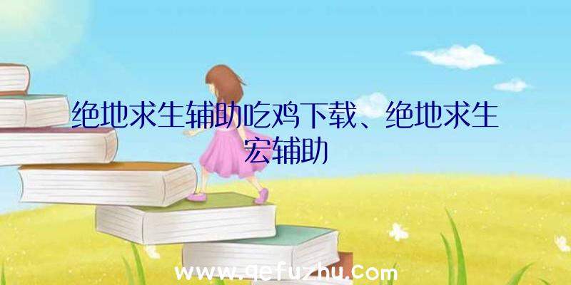 绝地求生辅助吃鸡下载、绝地求生宏辅助