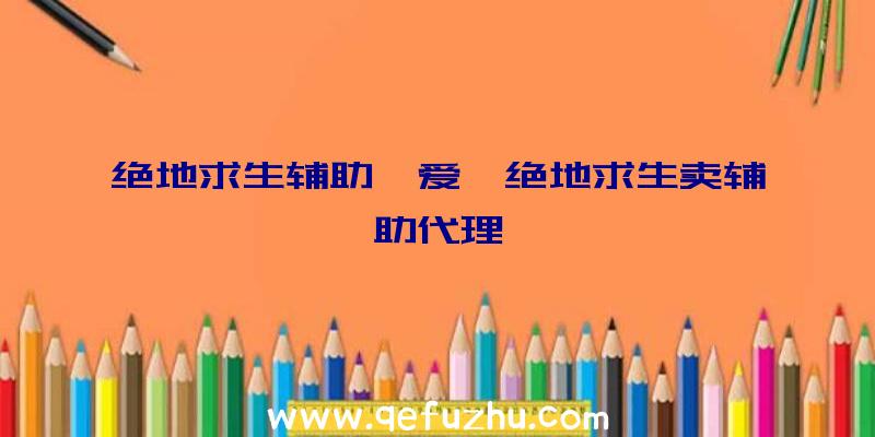 绝地求生辅助吾爱、绝地求生卖辅助代理