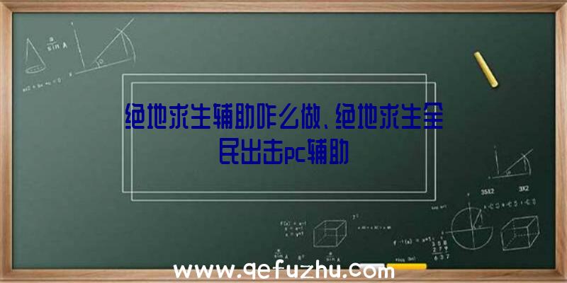 绝地求生辅助咋么做、绝地求生全民出击pc辅助