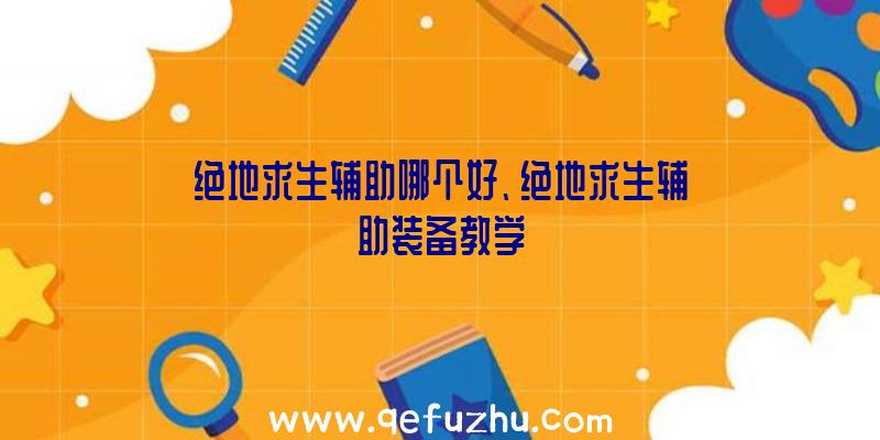 绝地求生辅助哪个好、绝地求生辅助装备教学