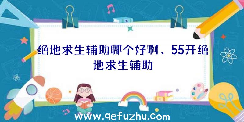 绝地求生辅助哪个好啊、55开绝地求生辅助