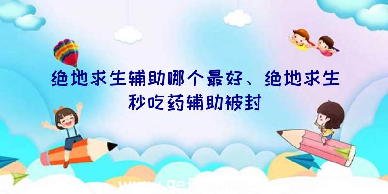 绝地求生辅助哪个最好、绝地求生秒吃药辅助被封