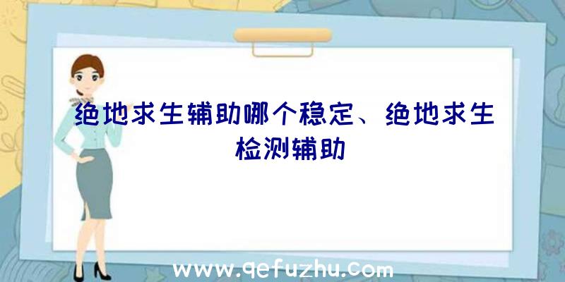 绝地求生辅助哪个稳定、绝地求生