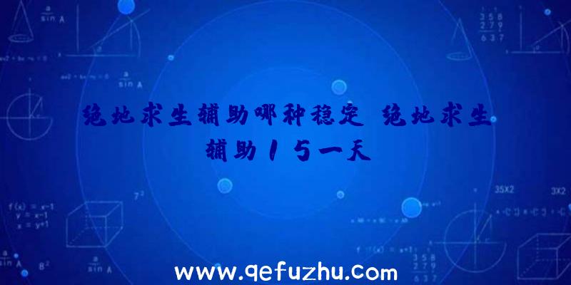 绝地求生辅助哪种稳定、绝地求生辅助15一天