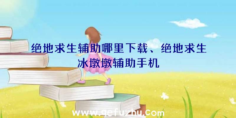 绝地求生辅助哪里下载、绝地求生冰墩墩辅助手机