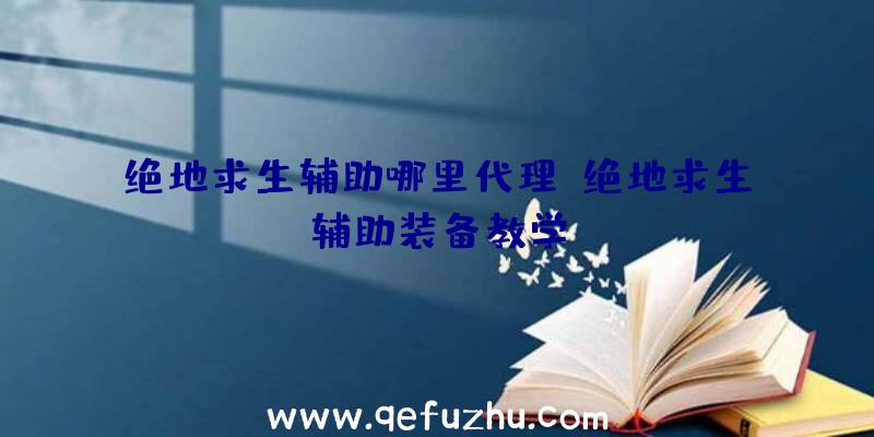 绝地求生辅助哪里代理、绝地求生辅助装备教学